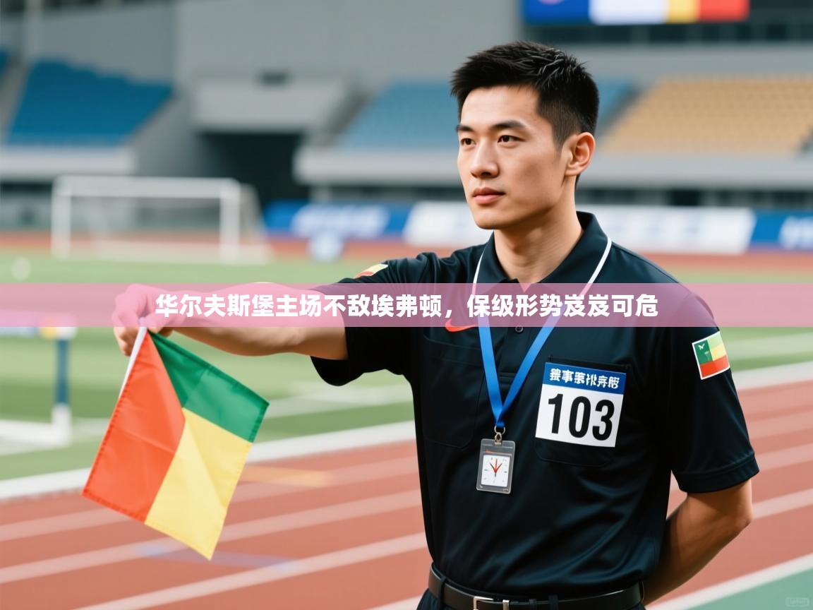 华尔夫斯堡主场不敌埃弗顿,保级形势岌岌可危 第1张