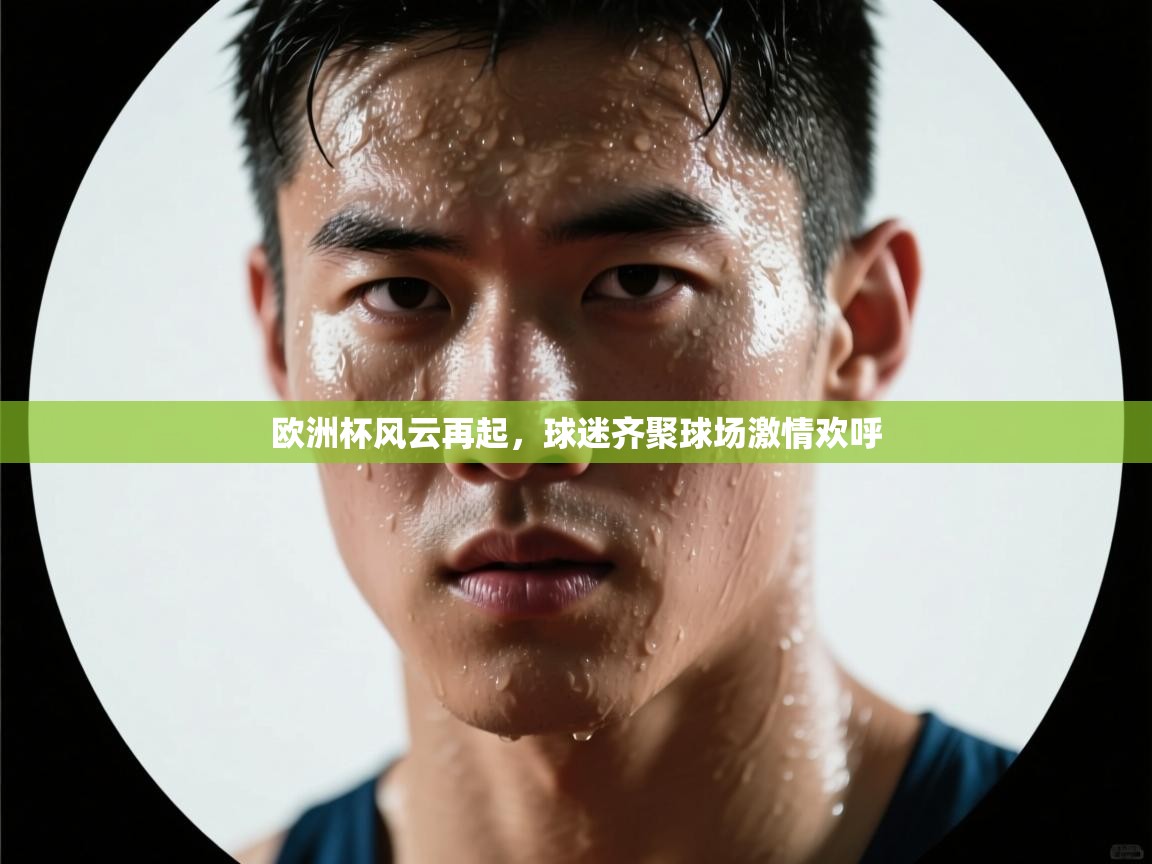 欧洲杯风云再起,球迷齐聚球场激情欢呼 第2张